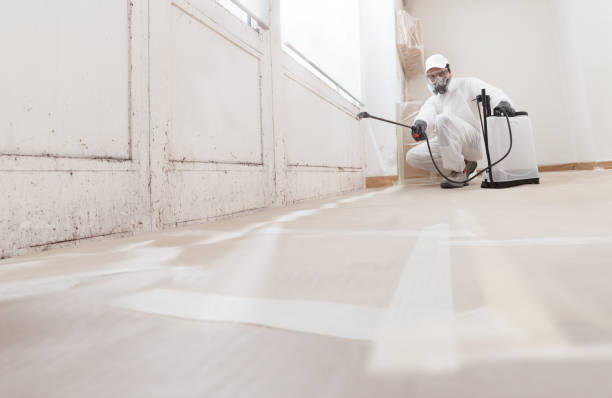 24/7 Emergency Mold Testing experts in Fort Eustis, VA